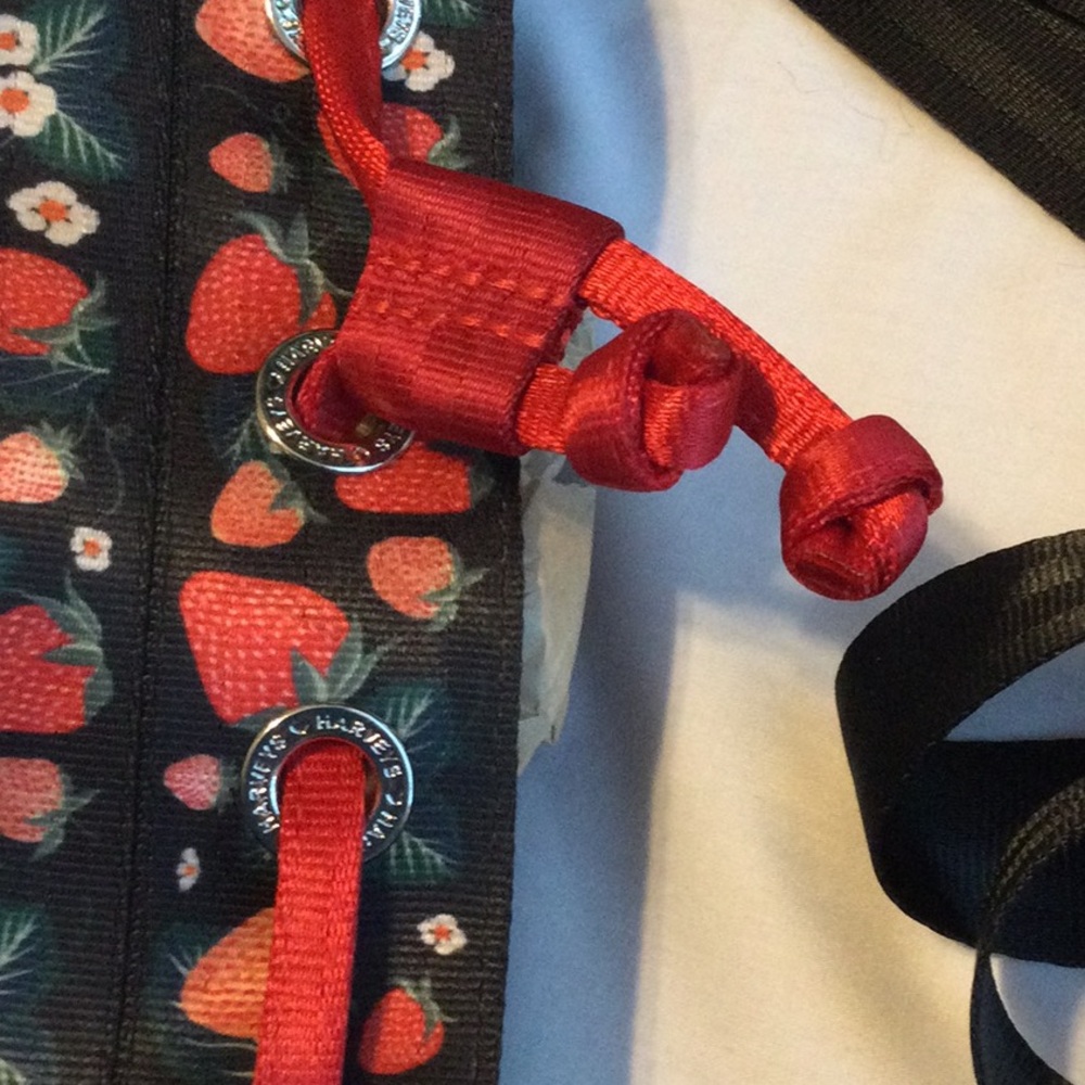 Strawberry Crossbody Backpack duo - Picture 3 of 6